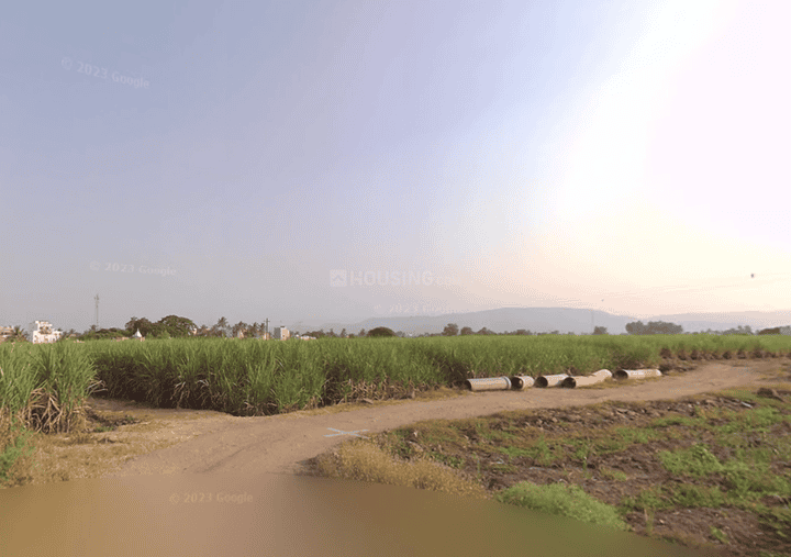 Loni Kalbhor Main Image 1