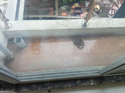 Balcony Image of 645 Sq.ft 1 BHK Apartment / Flat for sale in Ulwe Navi Mumbai for Rs. 5700000