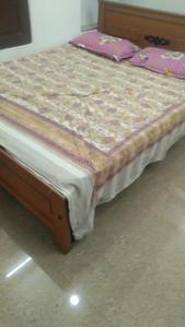 Bedroom Image of 806 Sq.ft 2 BHK Apartment / Flat for rent in Ekkatuthangal Chennai for Rs. 23500