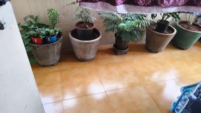 Living Room Image of 1302 Sq.ft 2 BHK Apartment / Flat for sale in Thergaon Pune for Rs. 8150000