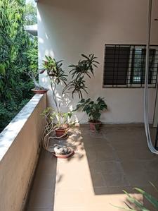 Balcony Image of 2049 Sq.ft 3 BHK Apartment / Flat for rent in Saroj Nagar Nagpur for Rs. 50000