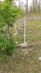 Image of 1000 Sq.ft Residential Plot / Land for sale in Dharmawala, Dehradun for Rs. 22000000
