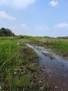Image of 2160 Sq.ft Residential Plot / Land for sale in Natures Paradise, Joka, Kolkata for Rs. 599999
