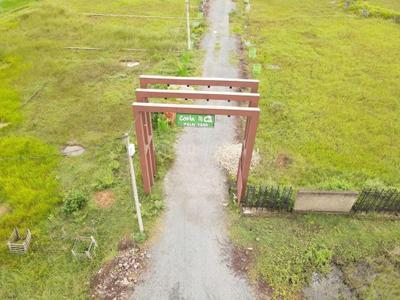 Plam yard Plot View 3