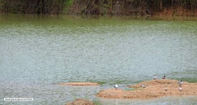 Image of 6354 Sq.ft Residential Plot / Land for sale in Bavlu, Ahmedabad for Rs. 7100000