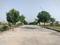 Soha Neal City Main Image 1