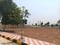 Western Vista Plot View 2