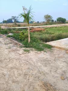 Image of 450 Sq.ft Residential Plot / Land for sale in Salampur Mazar Dastoora, Greater Noida for Rs. 1250000