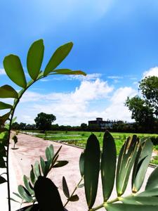 Image of 900 Sq.ft Residential Plot / Land for sale in Lal Kuan, Ghaziabad for Rs. 2705400