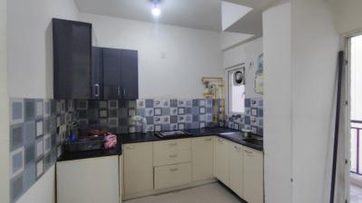 Kitchen Image of 1190 Sq.ft 2.5 BHK Apartment / Flat for rent in Aims Golf Avenue Phase 1, Sector 75 Noida for Rs. 30000