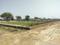 Rasa Enclave Plot View 2