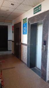 Image of 1840 Sq.ft 3 BHK Apartment / Flat for rent in Amrapali Sapphire, Sector 45, Noida for Rs. 45000