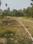 KALYANI WEST BENGAL Plot View 2