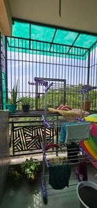 Balcony Image of 970 Sq.ft 2 BHK Apartment / Flat for sale in Aambesten Twin Celestial, Noida Extension Greater Noida for Rs. 5300000