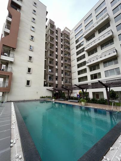 Nalapara Main Image 1