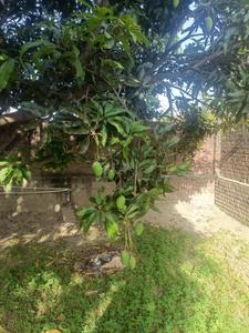 Image of 1225 Sq.ft Residential Plot / Land for sale in New Deep Nagar, Hoshiarpur for Rs. 1550000