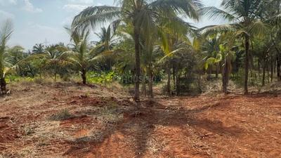 Image of 78408 Sq.ft Residential Plot / Land for sale in Nagenahalli, Tumakuru, Bengaluru for Rs. 45000000