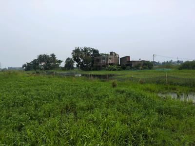 Wander Valley Plot View 2