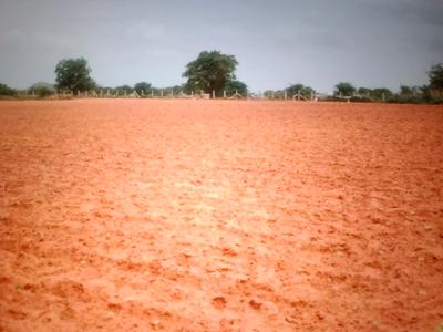 Image of 1089 Sq.ft Residential Plot / Land for sale in Pen, Raigad for Rs. 223000