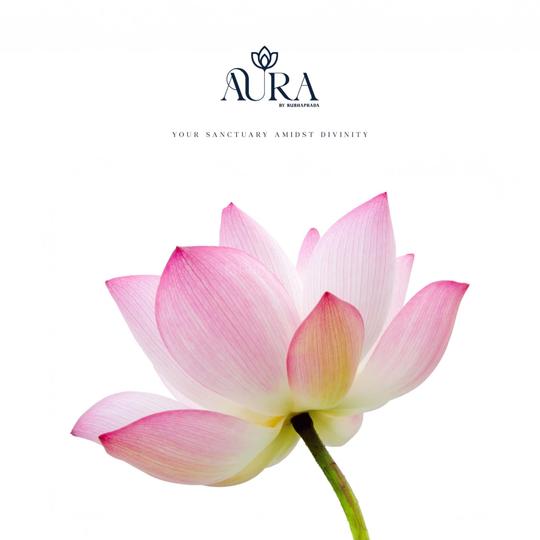 The Aura  Main Image 1