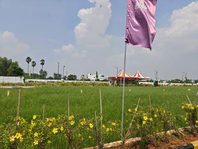 Residential Plot