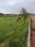 Dreamvally 2 Farm Land In HMDA Limits Main Image 1
