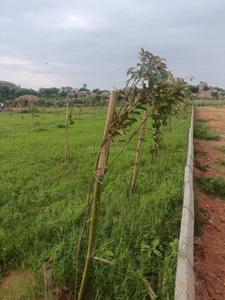 Image of 121 Sq.ft Residential Plot / Land for sale in Shadnagar, Ranga Reddy for Rs. 1000000