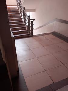 Image of 1200 Sq.ft 2 BHK Apartment / Flat for rent in Sahil Regency, Goyal Vihar, Indore for Rs. 21000