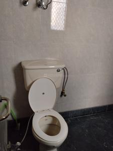 Image of 1775 Sq.ft 4 BHK Builder Floor for rent in South City Floors 1, Sector 41, Gurgaon for Rs. 38500