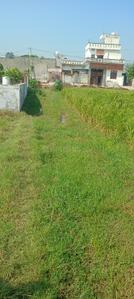 Image of 3525 Sq.ft Residential Plot / Land for sale in Hari Bagh Colony, Panipat for Rs. 2200000