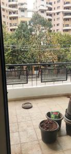 Balcony Image of 950 Sq.ft 2 BHK Apartment / Flat for rent in Magarpatta Iris, Magarpatta City Pune for Rs. 34000