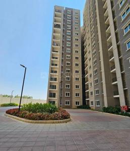 3 BHK Flat