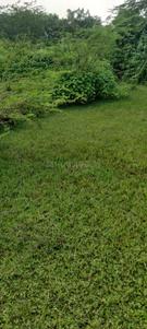 Image of 1674 Sq.ft Residential Plot / Land for sale in States Lucknow, Jankipuram, Lucknow for Rs. 1674000