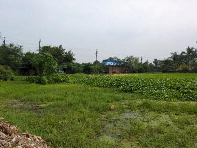 Image of 1440 Sq.ft Residential Plot / Land for sale in Wander Valley, Joka, Kolkata for Rs. 510000