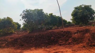 Image of 200 Sq.ft Residential Plot / Land for sale in Nandikandi, Sangareddy for Rs. 2000000