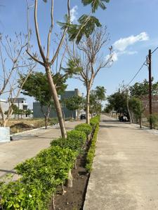 Image of 1250 Sq.ft Residential Plot / Land for sale in Millennium City, Panchderiya, Indore for Rs. 4062500