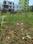 Gola road near st karens school Plot View 2
