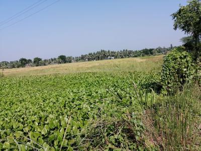 Image of 2500 Sq.ft Residential Plot / Land for sale in Brajalalchak, Haldia for Rs. 31000000