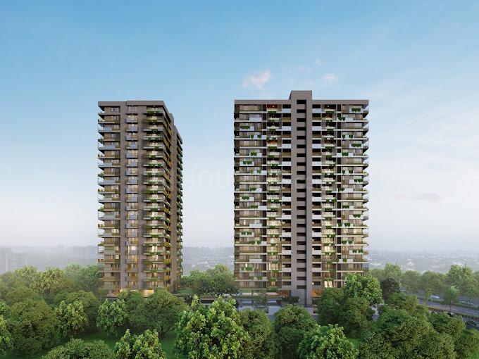 The Emberlynn Main Image 1