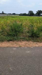 Image of 87120 Sq.ft Residential Plot / Land for sale in Chevella, Hyderabad for Rs. 27500000