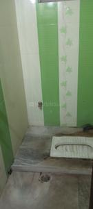 Bedroom Image of 1600 Sq.ft 2 BHK Builder Floor for rent in Gulmohar Colony Bhopal for Rs. 15000
