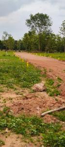 Image of 100 Sq.ft Residential Plot / Land for sale in Bhogapuram, Visakhapatnam for Rs. 350000