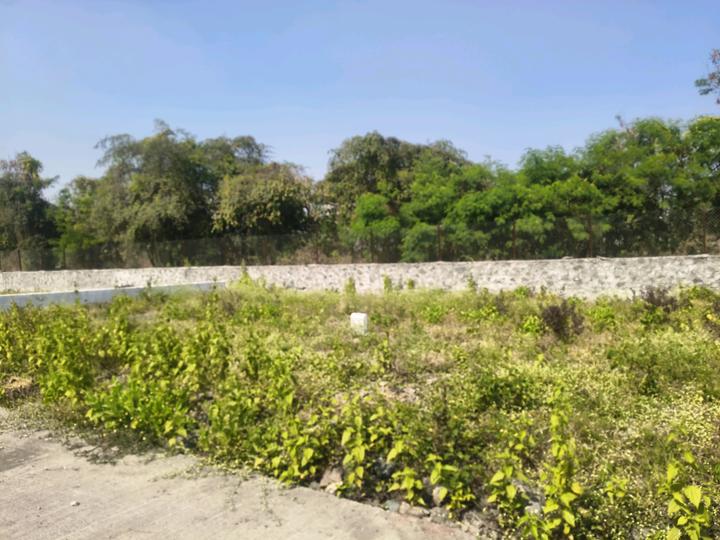 Goldmark Rhythm Main Image 1