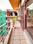 Balcony Image of Cloud Nine PG in Sector 42, Gurgaon