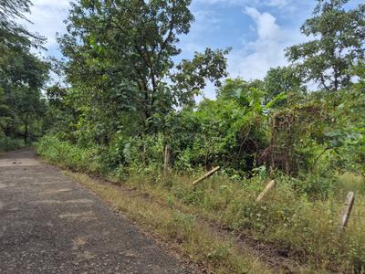 Image of 43560 Sq.ft Residential Plot / Land for sale in Shahapur, Thane for Rs. 2600000