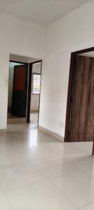 Hall Image of 805 Sq.ft 2 BHK Apartment / Flat for rent in Velachery Chennai for Rs. 23000