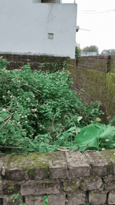 Image of 435 Sq.ft Residential Plot / Land for sale in Pandra, Ranchi for Rs. 1500000