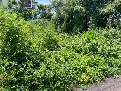 Image of 280 Sq.ft Residential Plot / Land for sale in Dabolim, Goa for Rs. 13100000