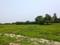 NATURE PARADISE Plot View 2