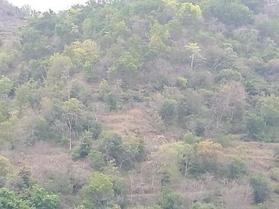 Image of 1000 Sq.ft Residential Plot / Land for sale in Morni Hills, Morni, Panchkula for Rs. 5000000